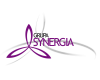 GRUPA SYNERGIA